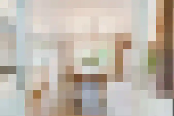 Anton Mollemanhof 29 Zieuwent thumbnail 13