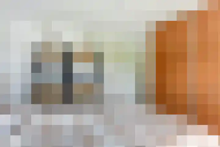 Anton Mollemanhof 29 Zieuwent thumbnail 17