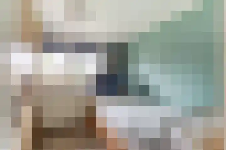 Anton Mollemanhof 29 Zieuwent thumbnail 21