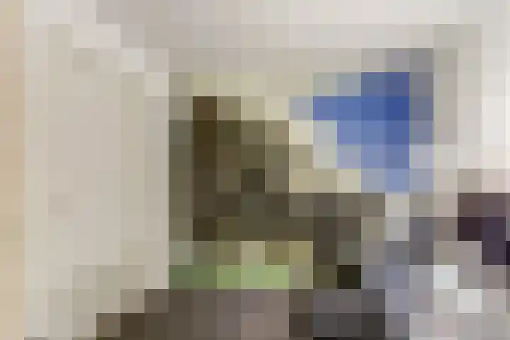 Anton Mollemanhof 29 Zieuwent thumbnail 24