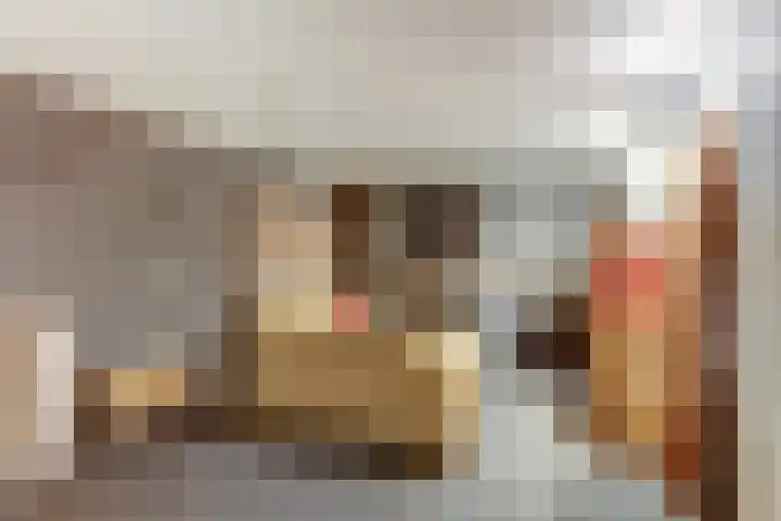 Anton Mollemanhof 29 Zieuwent thumbnail 27
