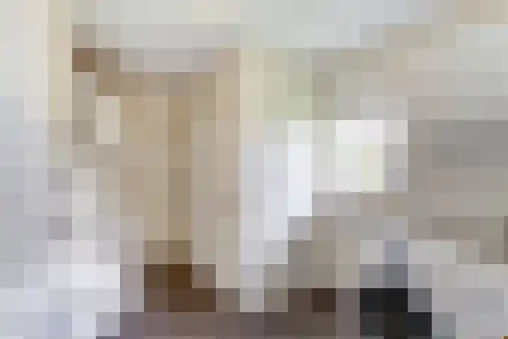 Anton Mollemanhof 29 Zieuwent thumbnail 32