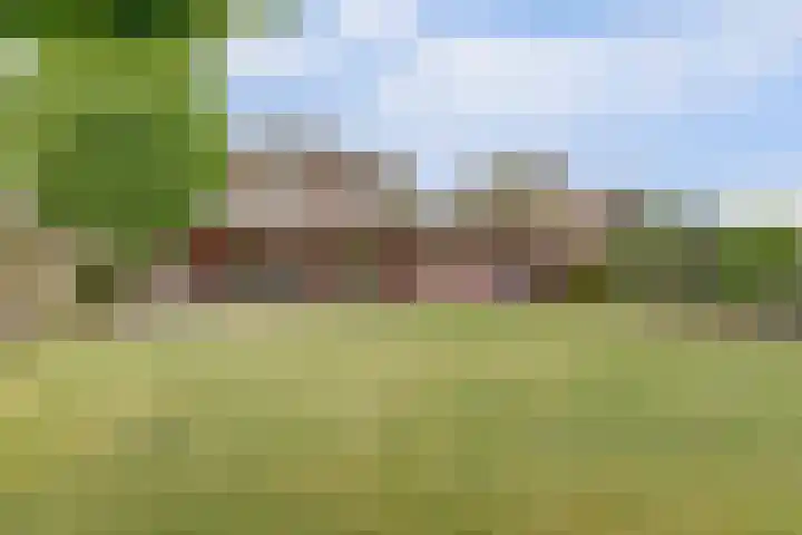 Anton Mollemanhof 29 Zieuwent thumbnail 35