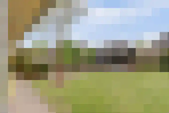 Anton Mollemanhof 29 Zieuwent thumbnail 37