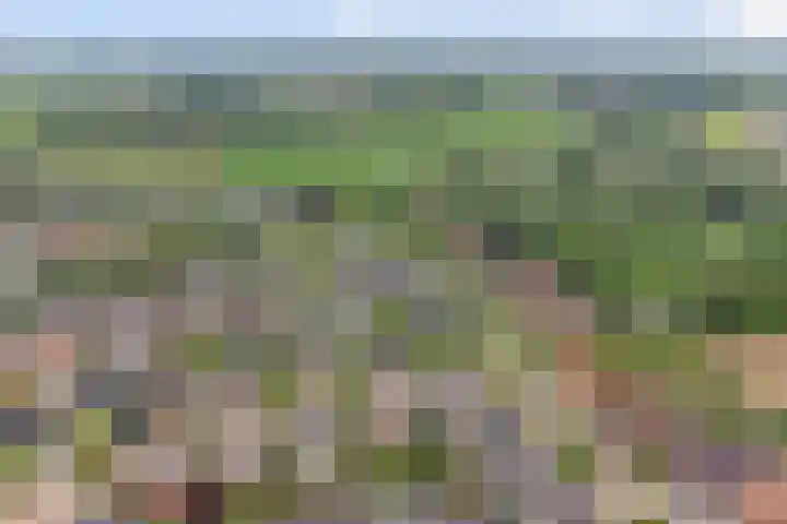 Anton Mollemanhof 29 Zieuwent thumbnail 38