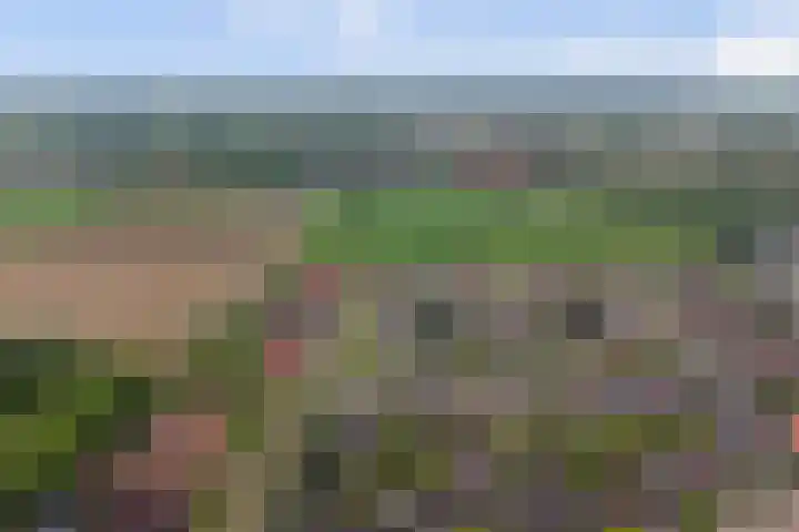 Anton Mollemanhof 29 Zieuwent thumbnail 39