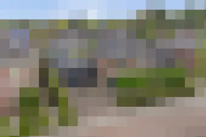 Anton Mollemanhof 29 Zieuwent thumbnail 52