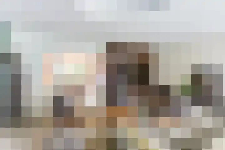 Anton Mollemanhof 29 Zieuwent thumbnail 7
