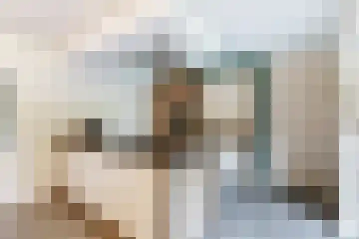 Anton Mollemanhof 29 Zieuwent thumbnail 9