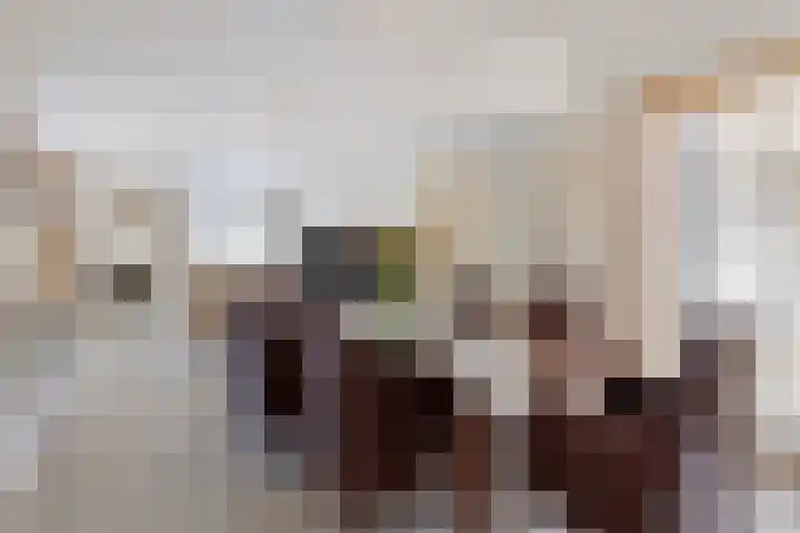 Anton Mollemanhof 56 Zieuwent thumbnail 14