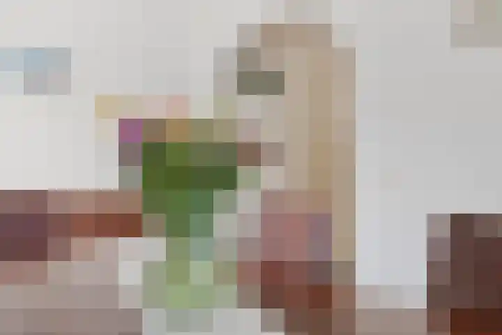 Anton Mollemanhof 56 Zieuwent thumbnail 15