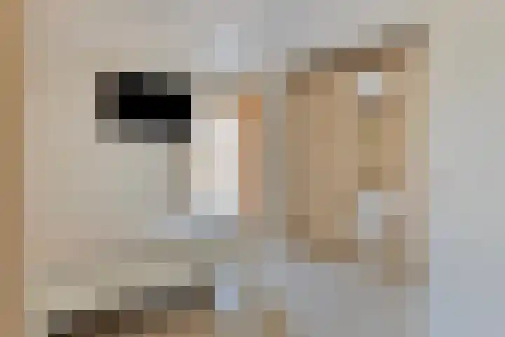 Anton Mollemanhof 56 Zieuwent thumbnail 18