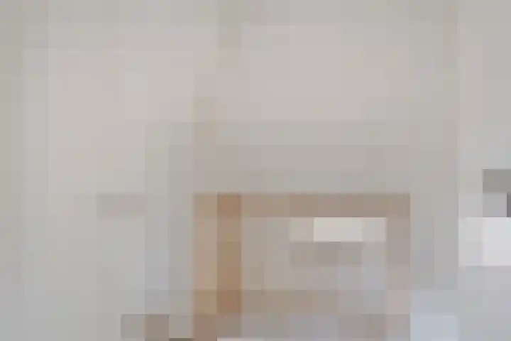 Anton Mollemanhof 56 Zieuwent thumbnail 27
