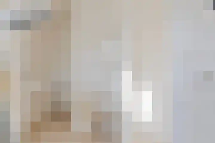 Anton Mollemanhof 56 Zieuwent thumbnail 33
