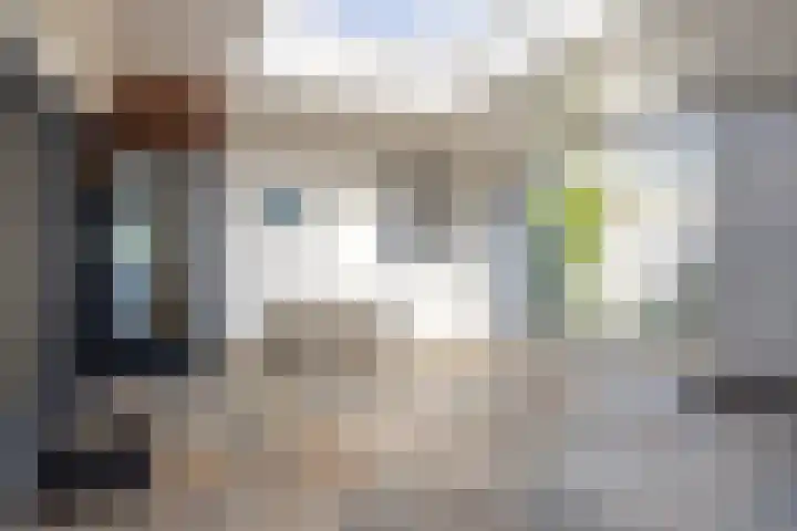 Anton Mollemanhof 56 Zieuwent thumbnail 35