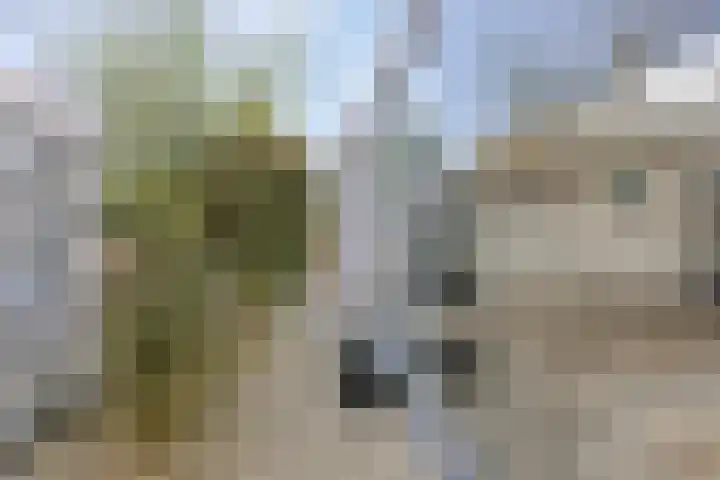 Anton Mollemanhof 56 Zieuwent thumbnail 38