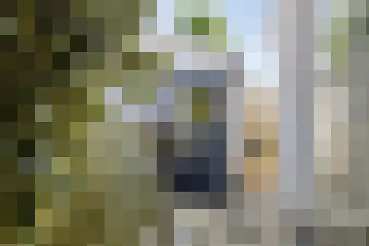 Anton Mollemanhof 56 Zieuwent thumbnail 39