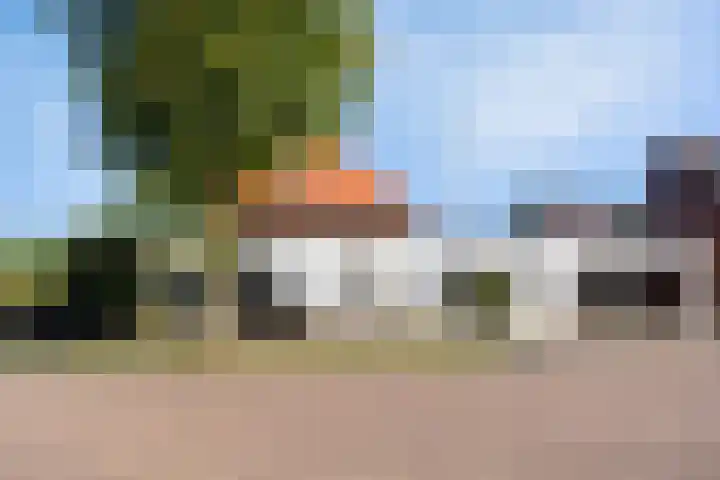 Anton Mollemanhof 56 Zieuwent thumbnail 43