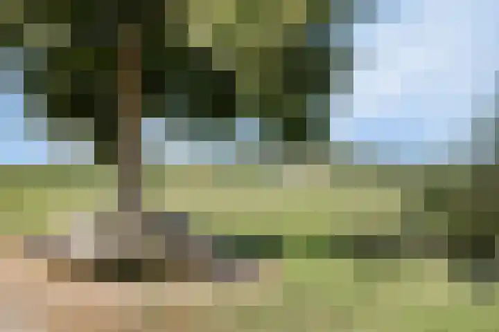 Anton Mollemanhof 56 Zieuwent thumbnail 45