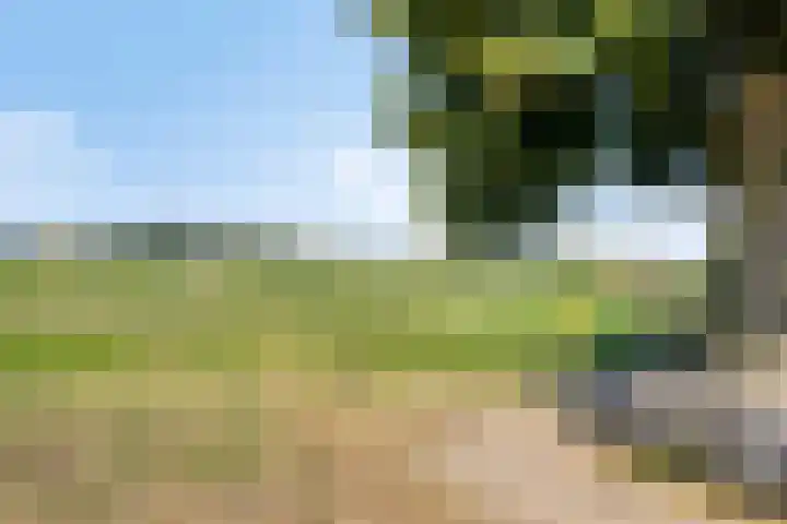 Anton Mollemanhof 56 Zieuwent thumbnail 46