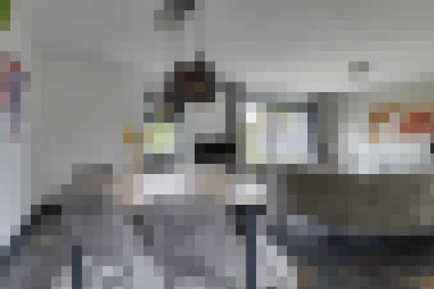 Anton Mollemanhof 6 Zieuwent thumbnail 15