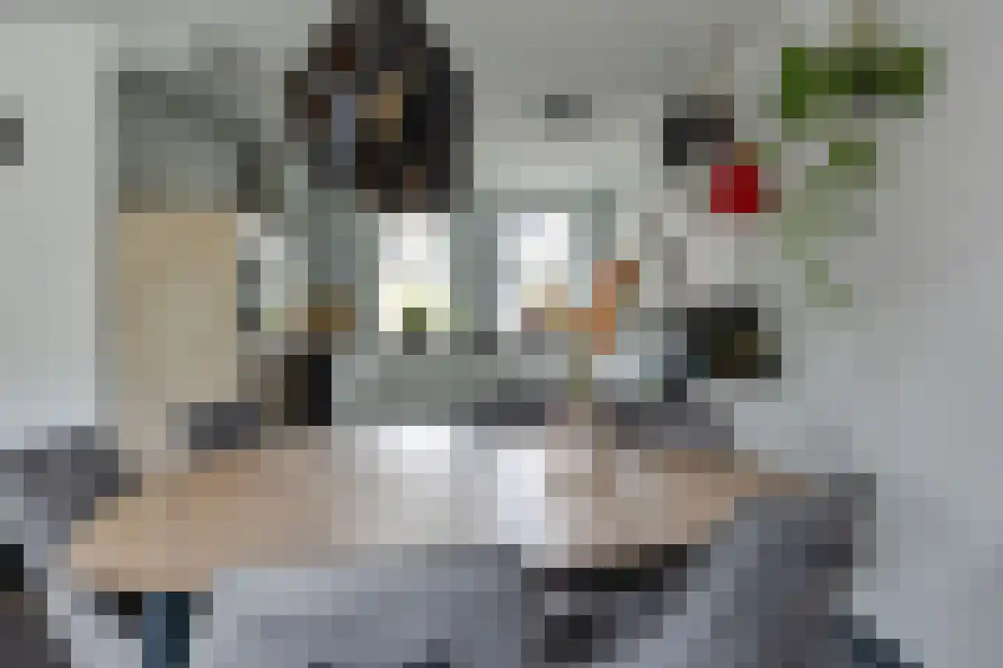 Anton Mollemanhof 6 Zieuwent thumbnail 18