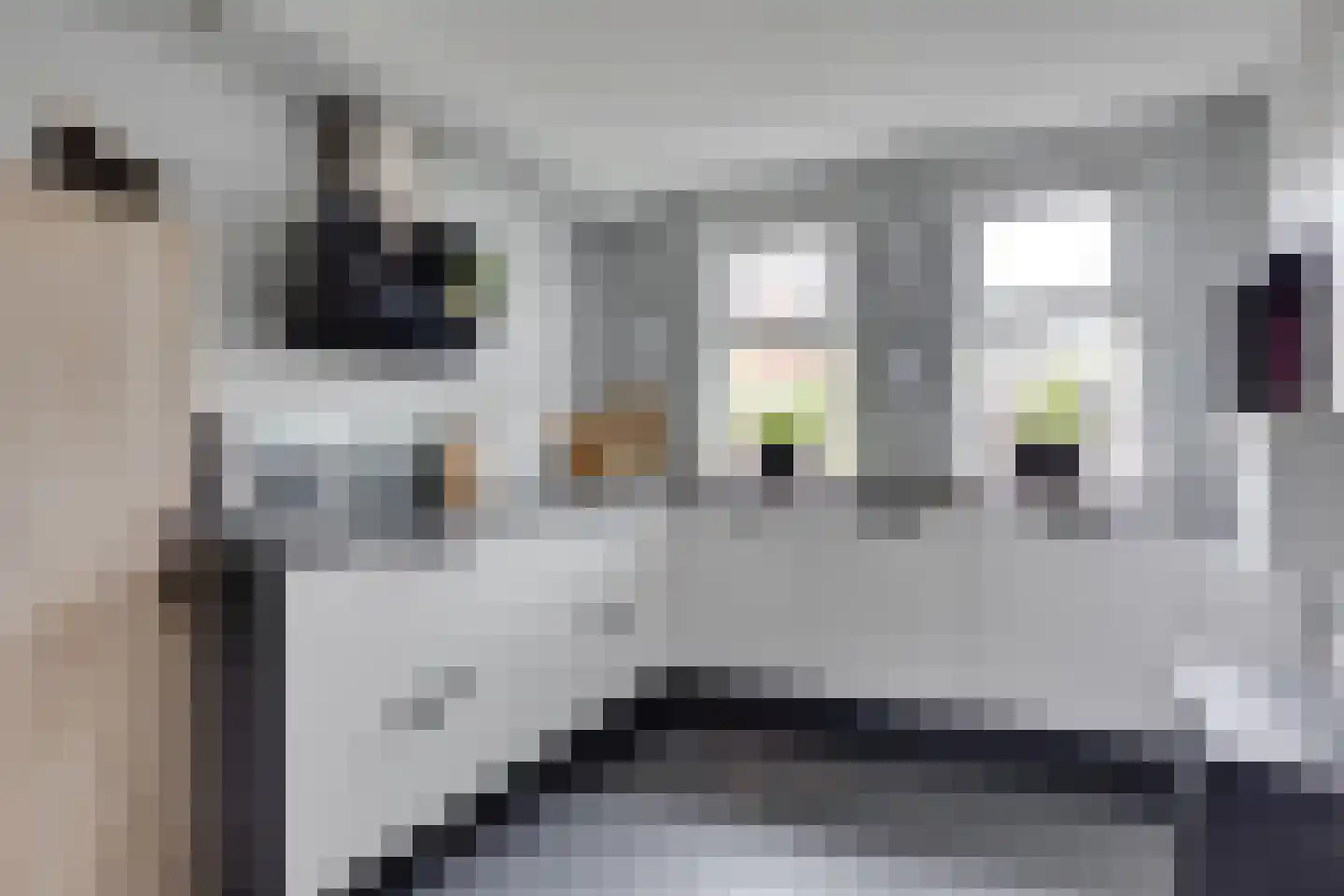 Anton Mollemanhof 6 Zieuwent thumbnail 20