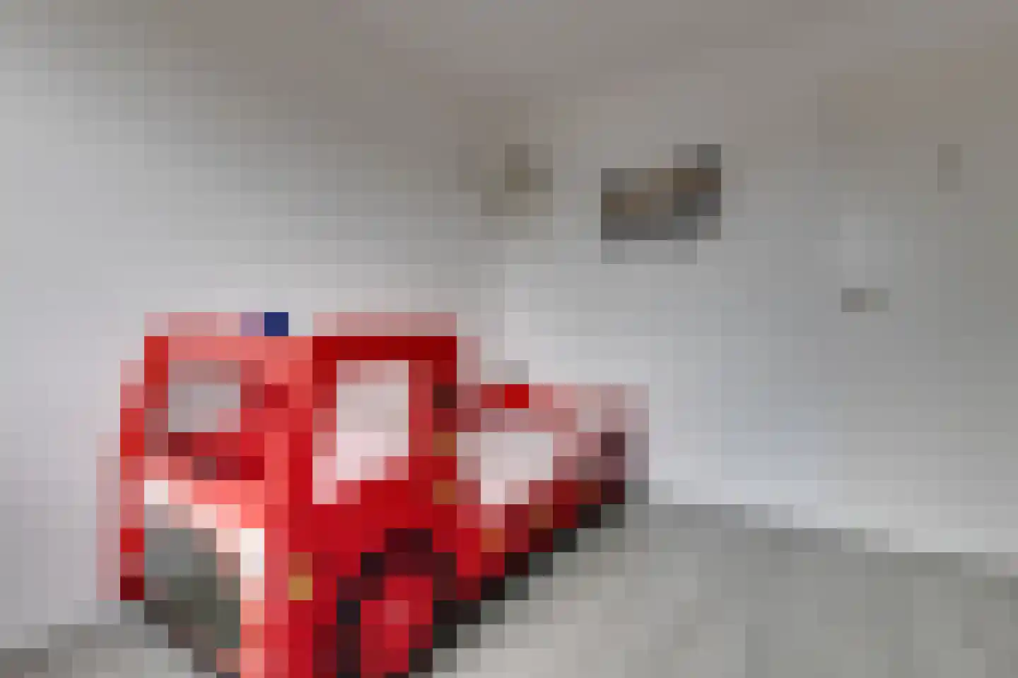 Anton Mollemanhof 6 Zieuwent thumbnail 32