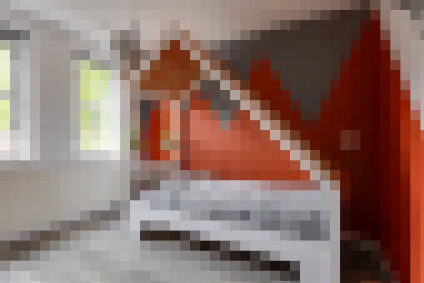 Anton Mollemanhof 6 Zieuwent thumbnail 35