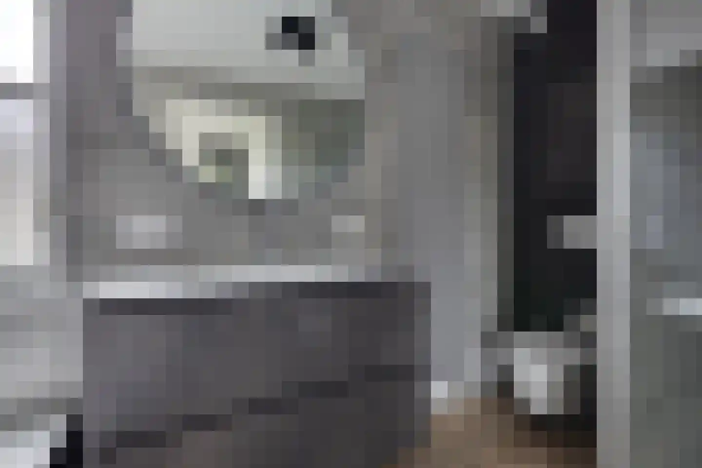 Anton Mollemanhof 6 Zieuwent thumbnail 37