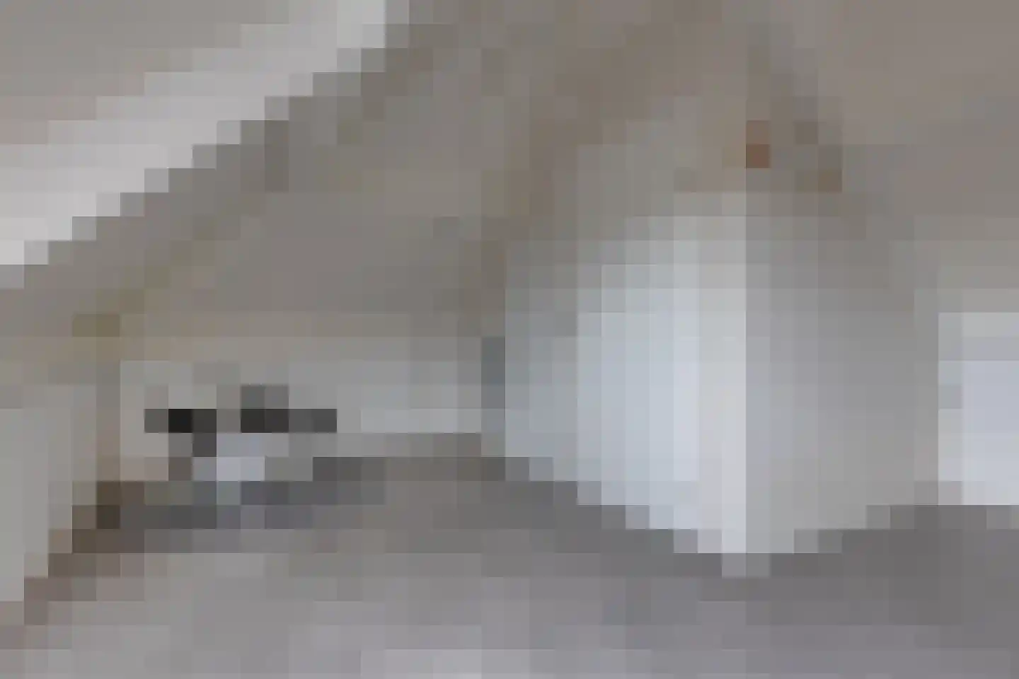 Anton Mollemanhof 6 Zieuwent thumbnail 43