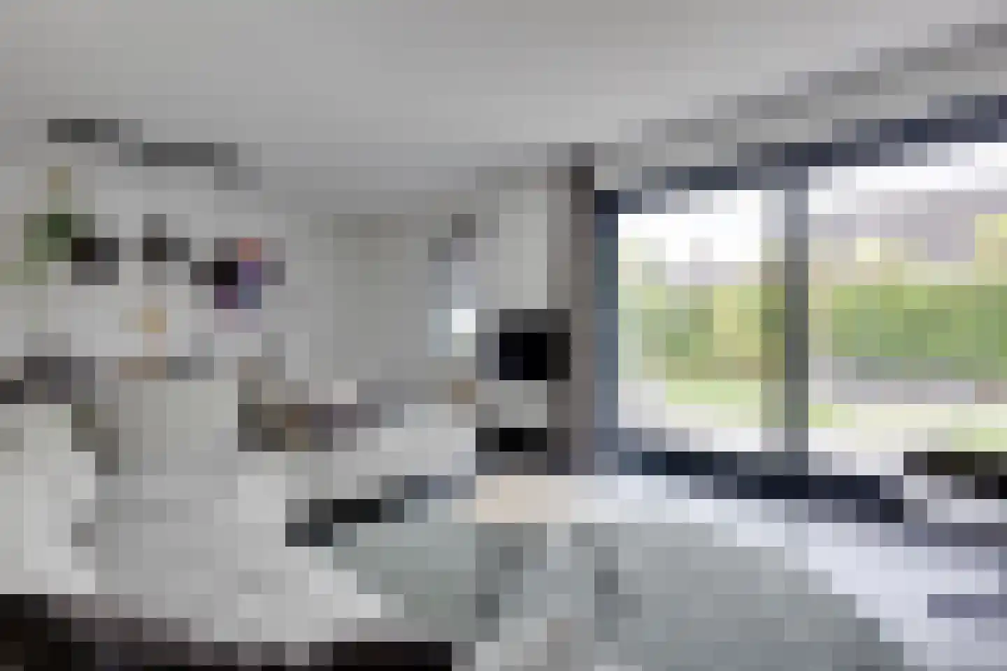 Anton Mollemanhof 6 Zieuwent thumbnail 9
