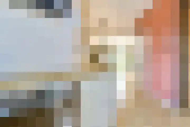 Anton Petershof 10 Amsterdam thumbnail 12