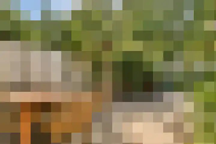Anton Petershof 10 Amsterdam thumbnail 4