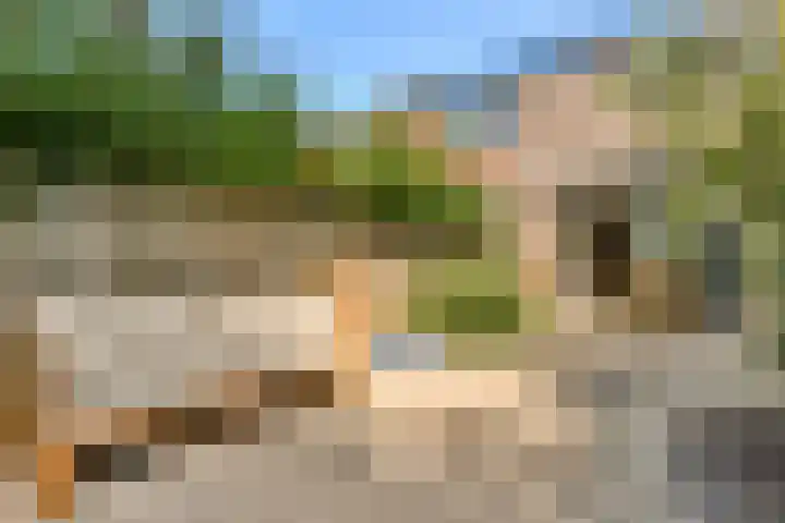 Anton Petershof 10 Amsterdam thumbnail 6
