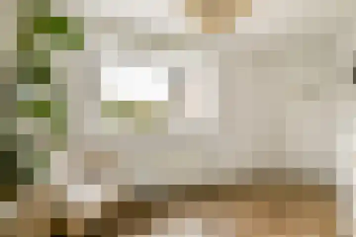 Anton Petershof 22 Amsterdam thumbnail 19