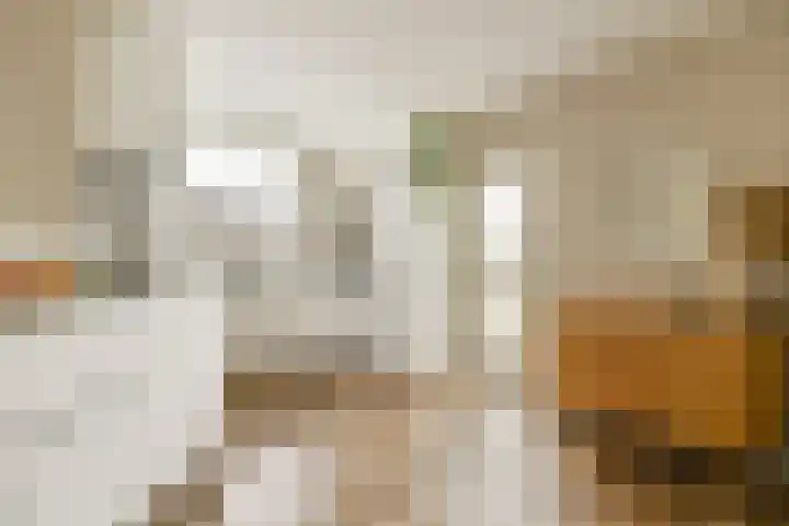 Anton Petershof 22 Amsterdam thumbnail 7