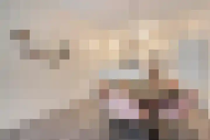 Anton Philipslaan 103 Eindhoven thumbnail 12