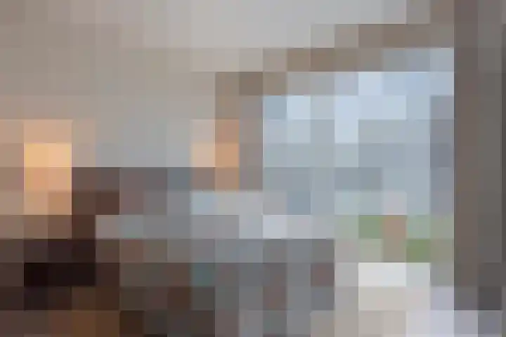 Anton Philipslaan 103 Eindhoven thumbnail 16