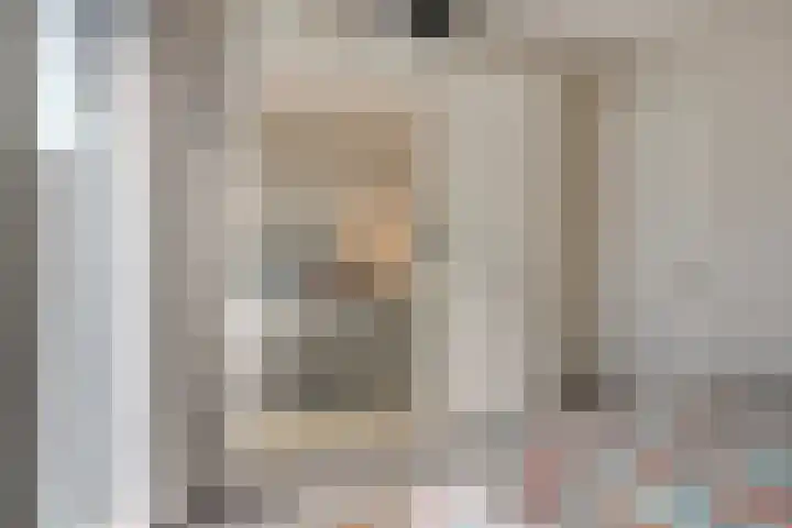 Anton Philipslaan 103 Eindhoven thumbnail 17