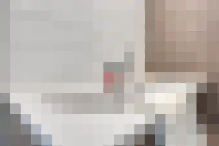 Anton Philipslaan 103 Eindhoven thumbnail 19