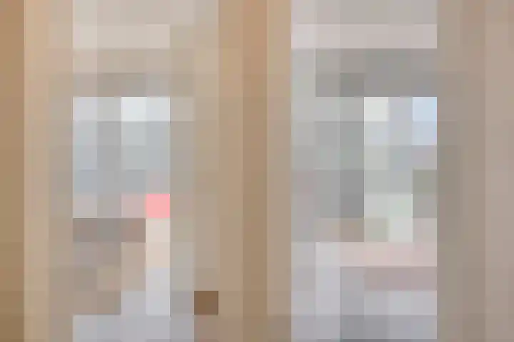 Anton Philipslaan 103 Eindhoven thumbnail 21