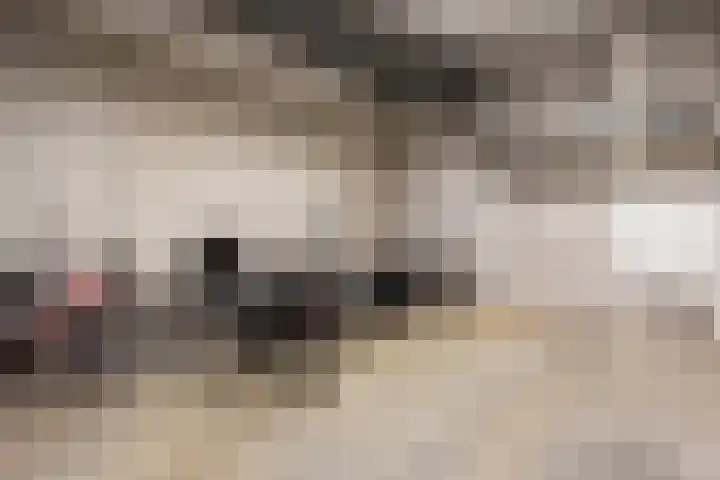 Anton Philipslaan 103 Eindhoven thumbnail 23