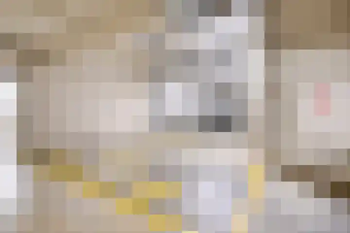 Anton Philipslaan 103 Eindhoven thumbnail 24