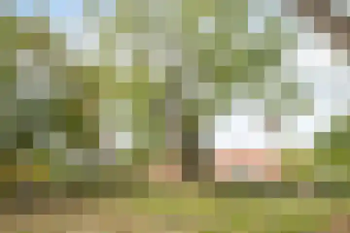 Anton Philipslaan 103 Eindhoven thumbnail 28