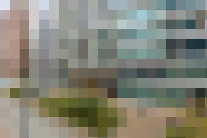 Anton Philipslaan 103 Eindhoven thumbnail 32