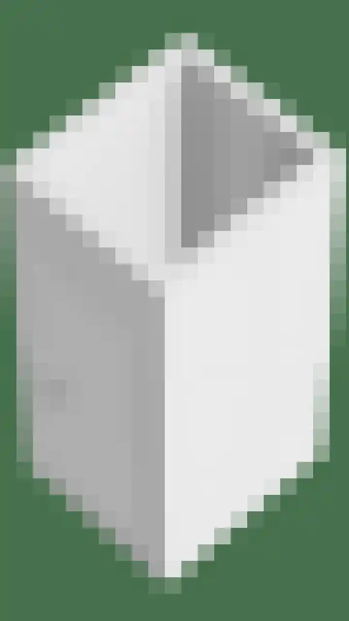 Anton Philipslaan 103 Eindhoven thumbnail 35