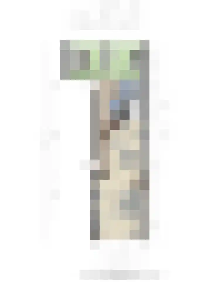 Anton Philipslaan 103 Eindhoven thumbnail 36