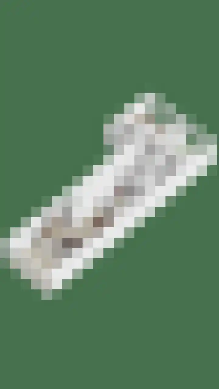 Anton Philipslaan 103 Eindhoven thumbnail 38