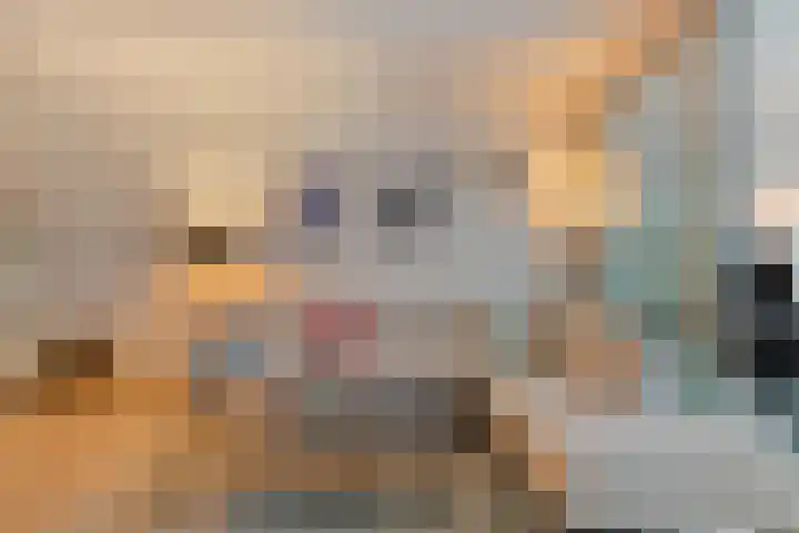Anton Philipslaan 109 Eindhoven thumbnail 13